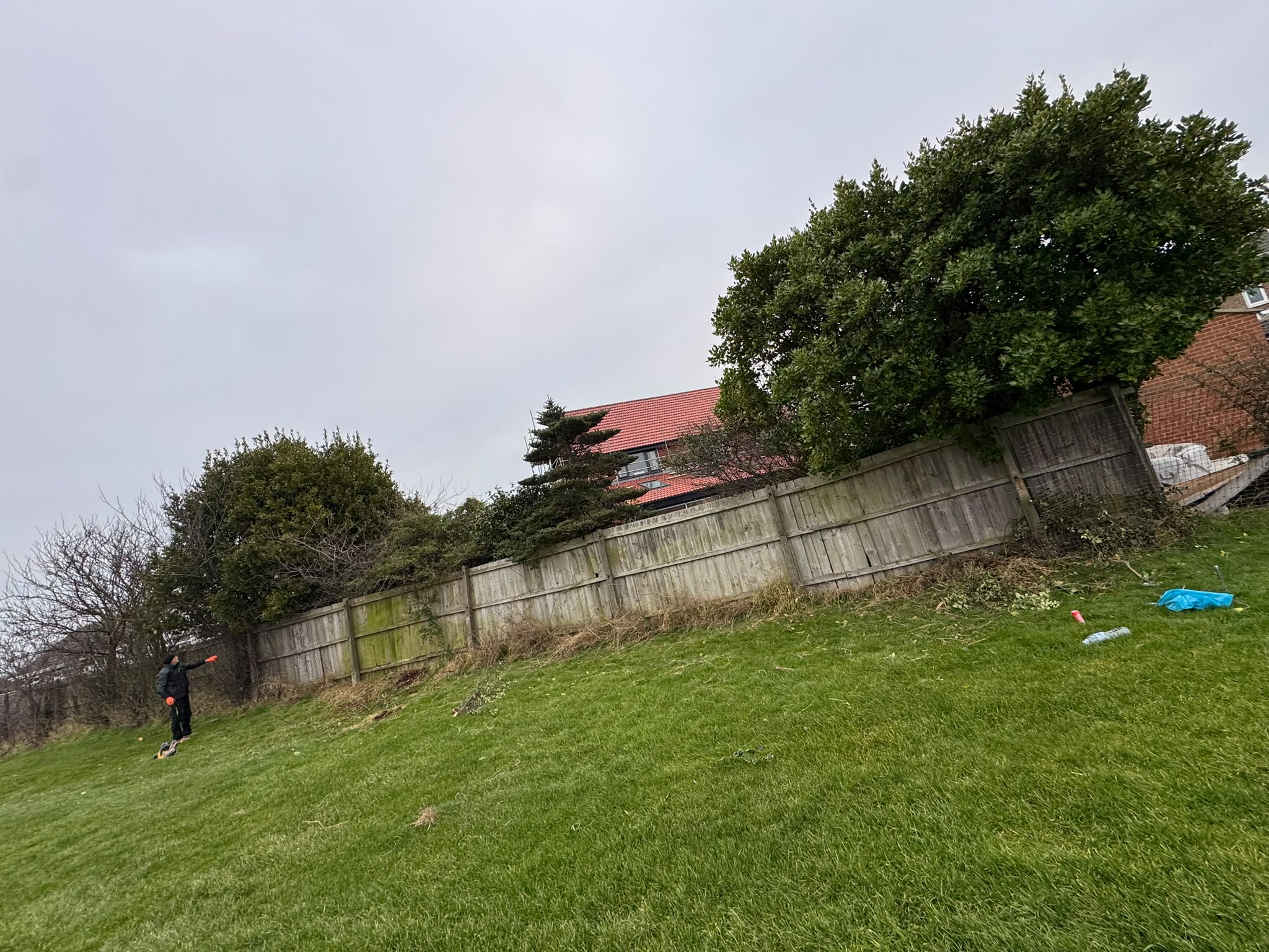 The old boundary before work started