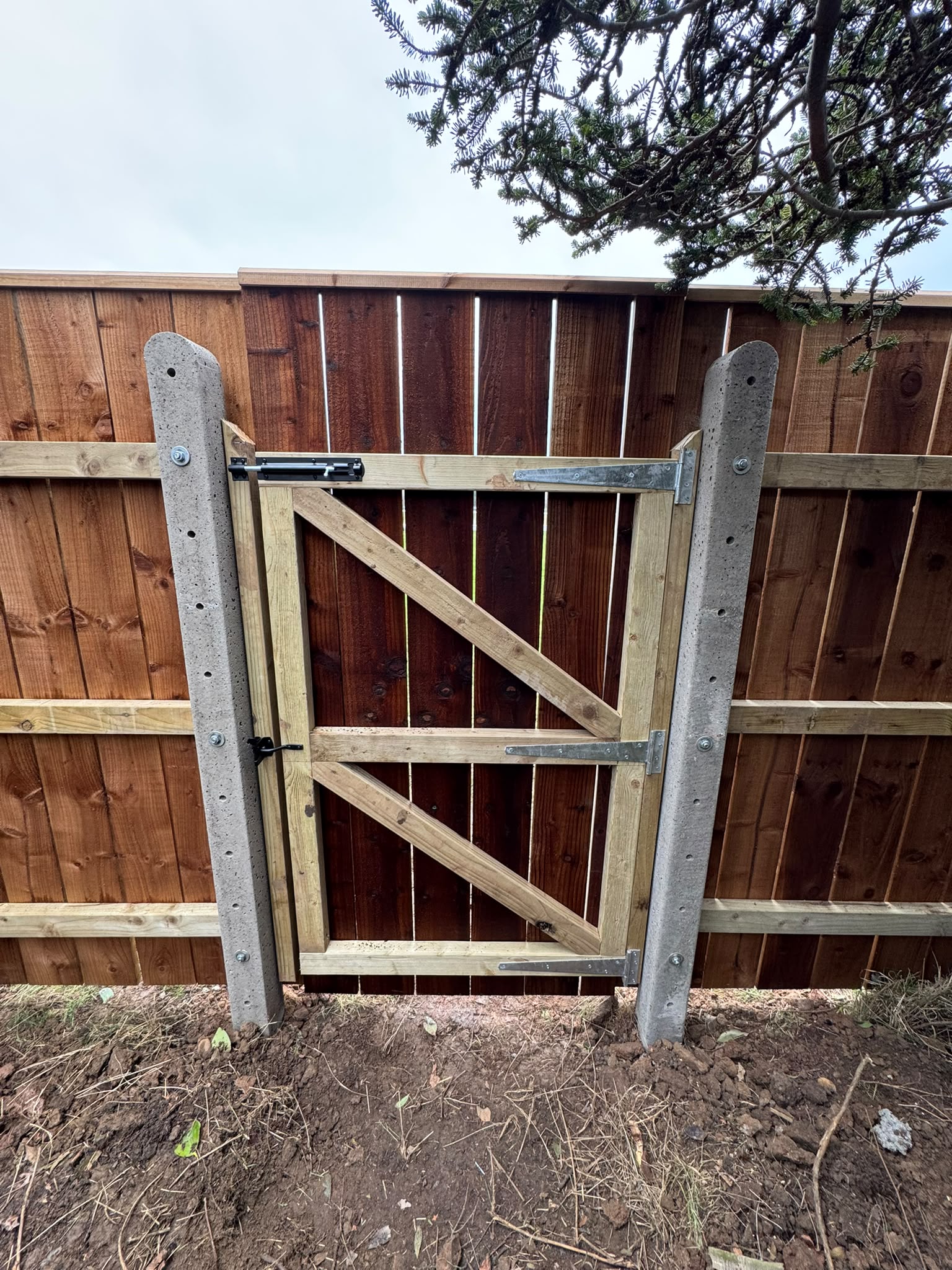 The fence run taking shape